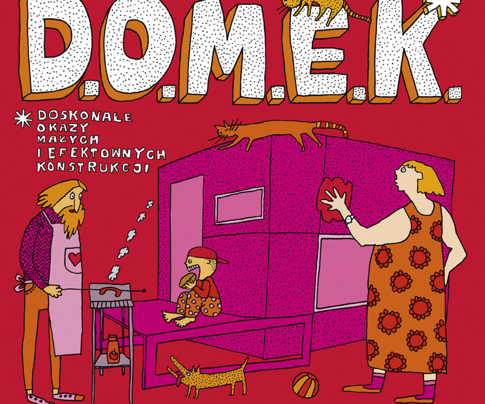 D.O.M.E.K.. Doskonałe Okazy Małych i Efektownych Konstrukcji