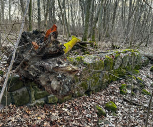Rzeźba warta fortunę znaleziona w domu celebrytki? Nowe ustalenia po ćwierć wieku