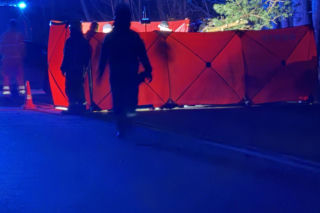 Koszmar na DK 50. 11-latka nie żyje. W auto wbiło się drzewo z ciągnika