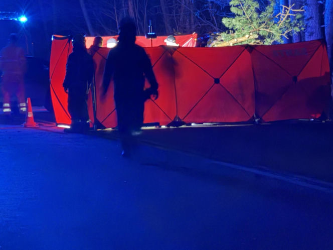 Koszmar na DK 50. 11-latka nie żyje. W auto wbiło się drzewo z ciągnika