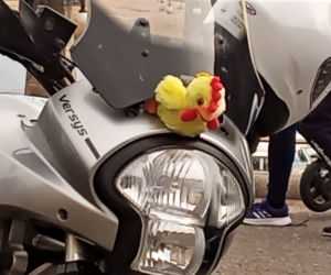 Moto Zające i Kurczaki niosą pomoc na Wielkanoc. Dziesiątki motocyklistów na ulicach Szczecina