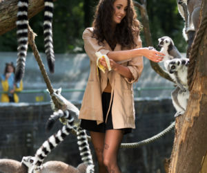 Rajtuzy ZOO