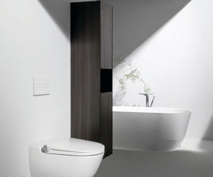 Laufen Riva Laufen Pro
