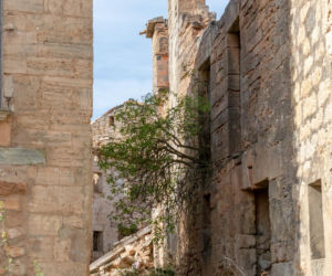 Bárcena de Bureba