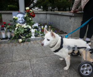 Zaskakujący zwrot w sprawie wypadku posła. Policja przyznała ochronę dla podejrzanego