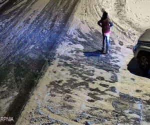 Sochaczew. Weszła na ulicę i zrobiła TO! SKANDALICZNE zachowanie 41-latki [ZDJĘCIA]