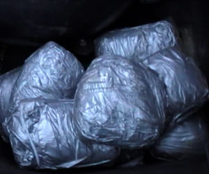 Policja znalazła 3 kg narkotyków ukrytych w instalacji LPG [ZDJĘCIA]
