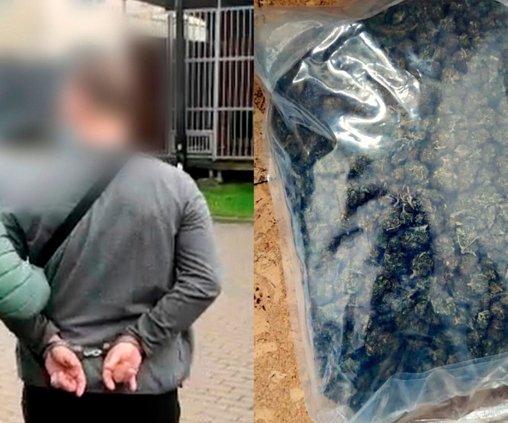 Policja rozbiła magazyn narkotykowy na Gocławiu