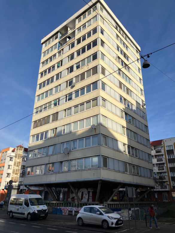 Trzonolinowiec we Wrocławiu