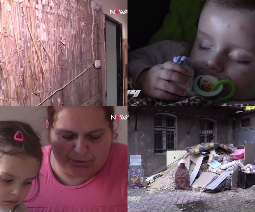 Ptasie kleszcze zaatakowały w Bytomiu! Mieszkanie do całkowitego remontu, pogryzione dzieci [WIDEO NOWA TV 24 GODZINY]