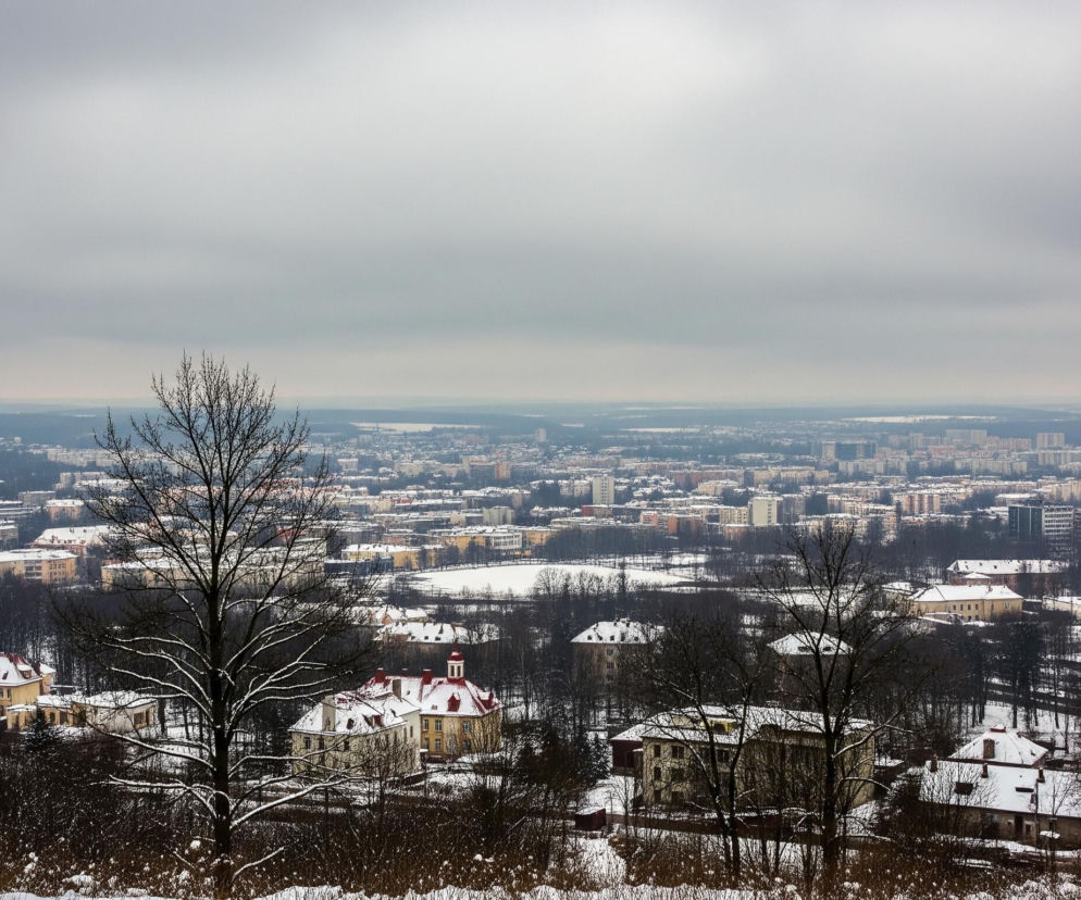 Pochmurne niebo w odcieniach szarości zajmuje większość górnej części kadru, przechodząc w jaśniejszy horyzont. Pod nim rozciąga się rozległa panorama miasta pokrytego śniegiem, z licznymi budynkami o różnych kształtach i rozmiarach. Na pierwszym planie widoczne są gałęzie drzew bez liści, częściowo pokryte śniegiem, otaczające kilka budynków z czerwonymi i białymi dachami, również zasypanymi białym puchem.