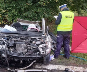 Kierowca wpadł w poślizg i czołowo zderzył się z autem bydgoszczanki. Oboje zginęli [ZDJĘCIA] 