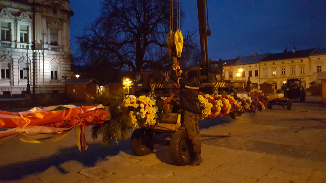  Gigantyczna palma wielkanocna  w Nowym Sączu