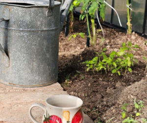 W pracowni Marii - Chwast Art