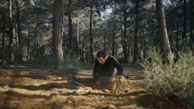 Wichrowe wzgórze. odc. 303-307