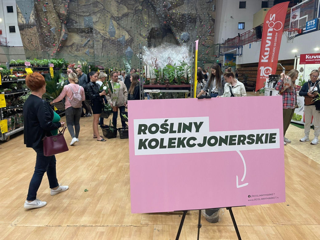 Wrześniowy Festiwal Roślin w Nowym Sączu