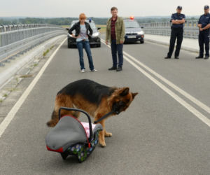 Komisarz Alex 4 sezon odcinek 47 (odc. 8). Lucyna (Magdalena Walach), Ryszard Puchała (Ireneusz Czop)