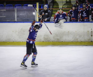 Zagłębie Sosnowiec - KH Energa Toruń 3:5, zdjęcia z meczu
