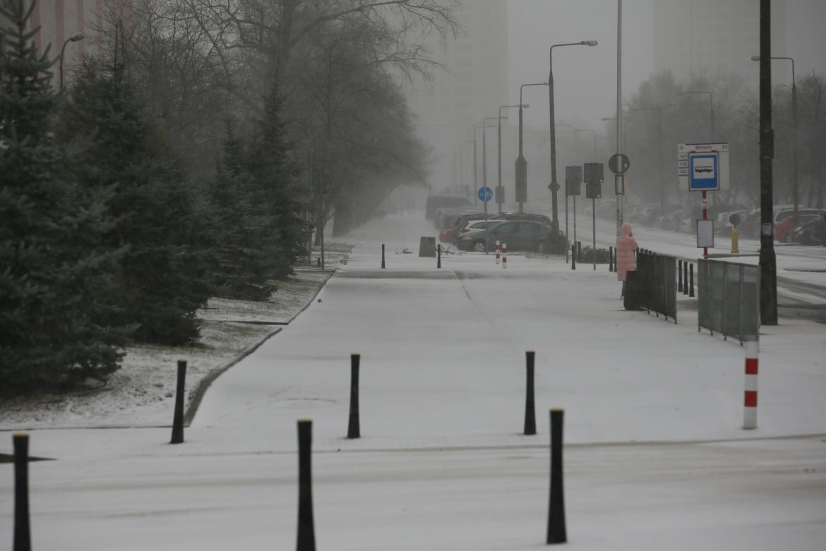 Śnieżyca