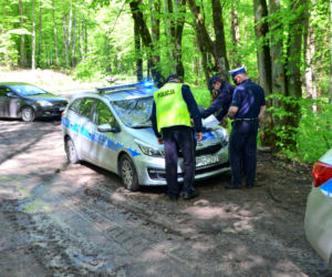 Poszukiwania Wacława Dzienisza