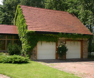 Pnącza na ściany