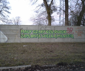 Fantazja tych, co piszą po murach nie zna granic