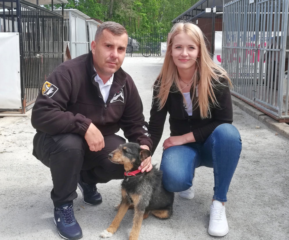 Wolontariusze Daniel Półrolniczak i Ola Pietrasz chcą rozbudować schronisko pod Prusicami
