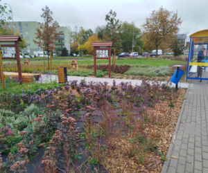 Park kieszonkowy w Siedlcach przy ul. Brzeskiej