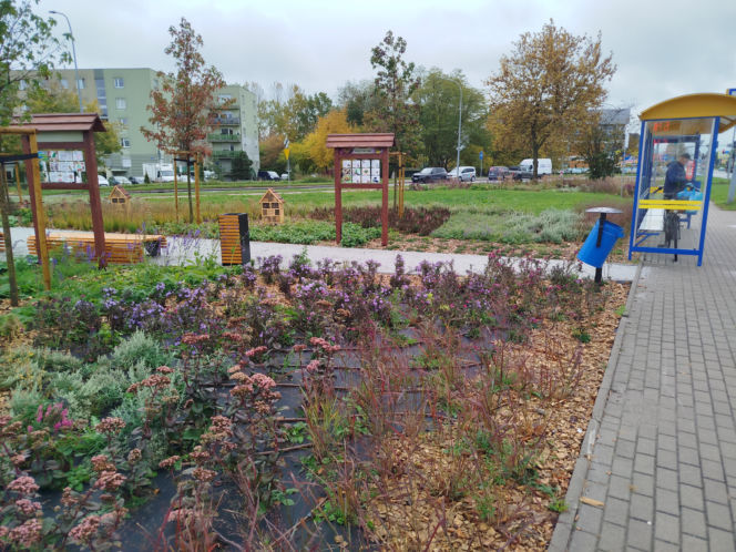 Park kieszonkowy w Siedlcach przy ul. Brzeskiej