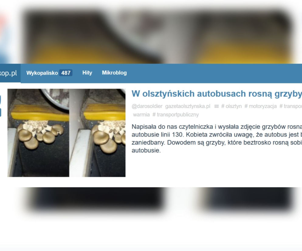 Olsztyn. W autobusie miejskim ROSNĄ GRZYBY?! Ohydne zdjęcie obiegło sieć