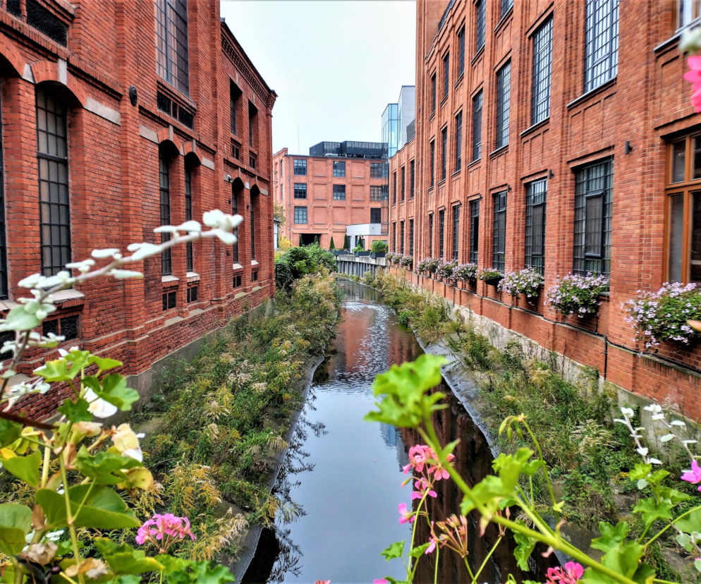 To niewielkie miasto z Łódzkiego stanowi absolutny top w kraju. Przegoniło wszystkie metropolie. Tu żyje się najlepiej