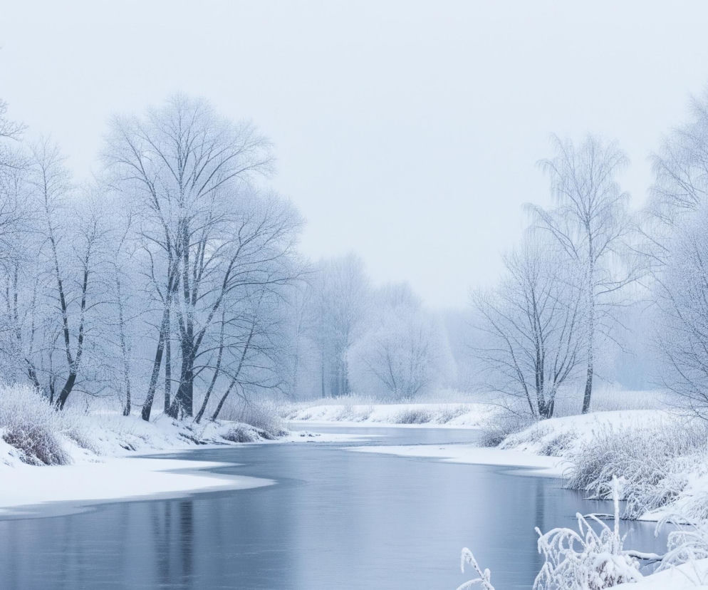 Głównym elementem krajobrazu jest zimowa rzeka o ciemnoniebieskiej, lekko zamarzniętej tafli, wijąca się przez zaśnieżone brzegi. Po obu stronach rzeki wznoszą się wzgórza pokryte grubą warstwą śniegu i szronu, na których rosną liczne drzewa i krzewy. Gałęzie drzew są nagie, pokryte jasnym, białym szronem, co nadaje im eteryczny wygląd i kontrastuje z ciemniejszymi pniami. Niebo jest jednolicie jasnoszare, co sugeruje pochmurny, mroźny dzień i tworzy miękkie, rozproszone światło oświetlające całą scenę.