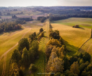 Szalone Walizki: Mazury Garbate