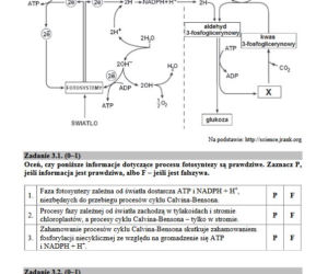 Matura 2017 biologia