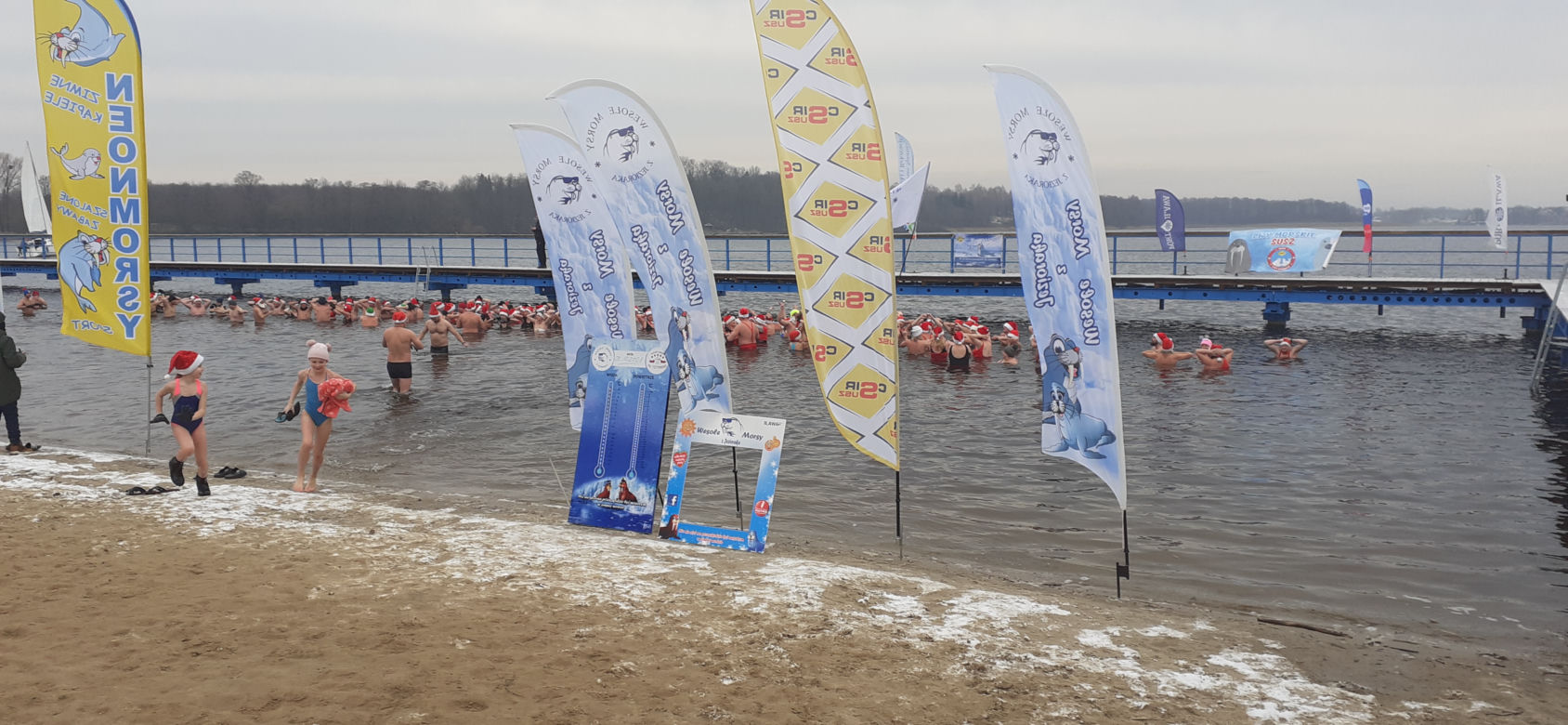 Morsy zbierały w lodowatej wodzie na rzecz iławskiego schroniska