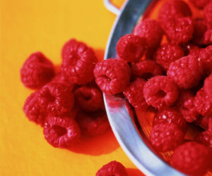 maliny, dieta białkowa, dzień 4