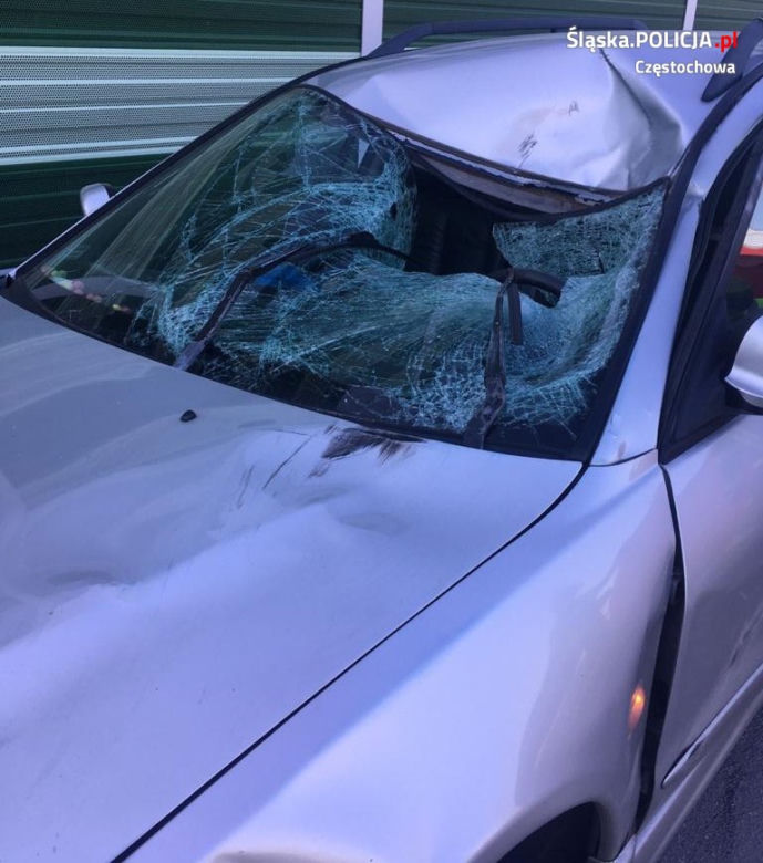 Przechodził przez autostradę A1. Zginął pod kołami pędzącego mitsubishi