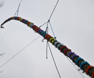 35 metrów i 80 centymetrów liczy palma, która zwyciężyła tegoroczny konkurs palm w Lipnicy Murowanej