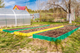 Rozsadnik w ogrodzie: co to jest rozsadnik, gdzie i jak go założyć?