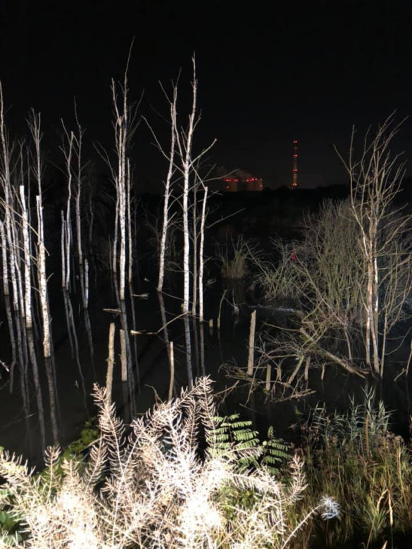 Horror nad Przemszą! Z rzeki wystawała "stopa dziecka". ZASKAKUJĄCY finał [ZDJĘCIA]