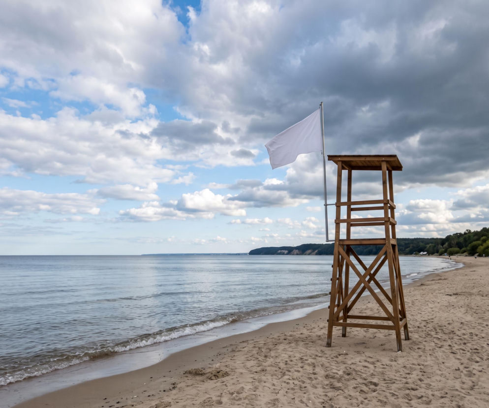 Sinice Gdynia. Czy w Gdyni można się kąpać 31.08? Flaga, warunki pogodowe