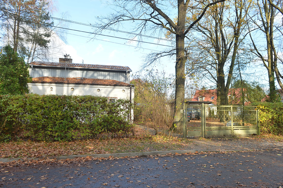 Morderstwo w Zalesiu