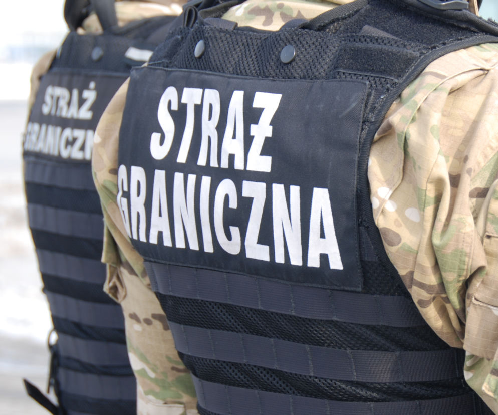 Grecja ścigała go europejskim nakazem aresztowania - wpadł na gdańskim lotnisku 