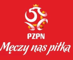 Mecz Polska - Szwecja: MEMY PO MECZU. Polska odpada z Euro 2020 [ZDJĘCIA]