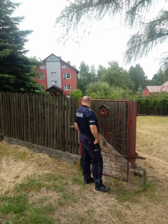 Libiąż: Gimnazjaliści znęcali się nad chomikiem. Zwierzę dusiło się w akwarium [WIDEO, ZDJĘCIA]