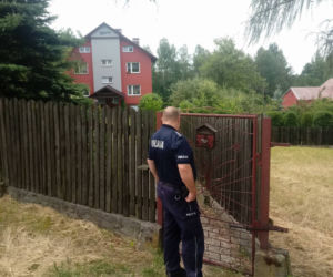 Libiąż: Gimnazjaliści znęcali się nad chomikiem. Zwierzę dusiło się w akwarium [WIDEO, ZDJĘCIA]