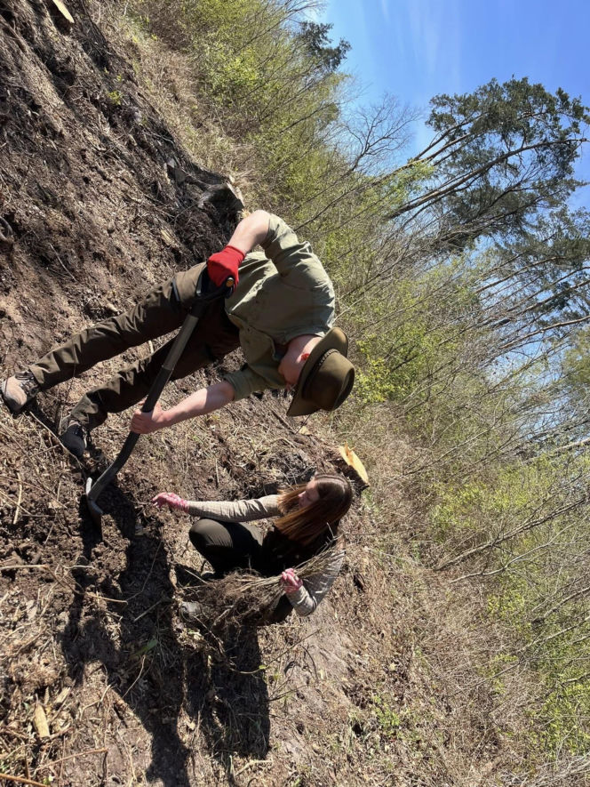 Siedleccy policjanci zasadzili drzewa w Golicach w ramach akcji „Plant a Tree – Green IPA Project”