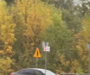 Nagi mężczyzna z maczetą biegał po ulicy! Policjanci użyli paralizatora