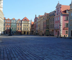 Czy poznaniacy stosują się do zakazów? Zaskakujące dane Straży Miejskiej! [ZDJĘCIA]