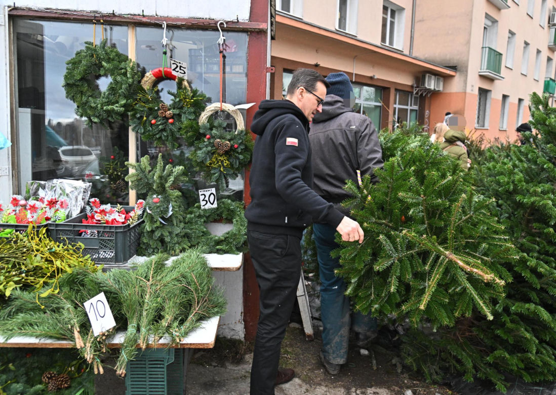 Morawiecki kupuje choinkę na święta